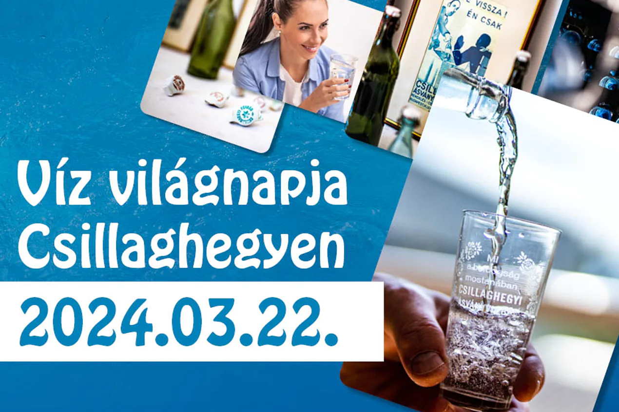 viz_vilagnapja_2024