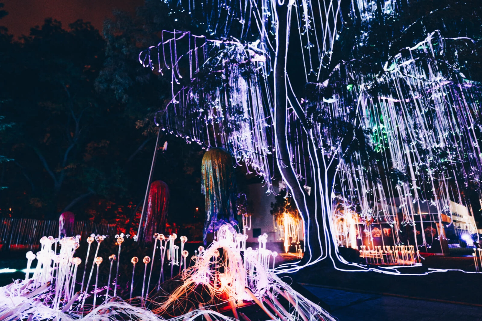 1636x1090px_lumina_2025_06859_1